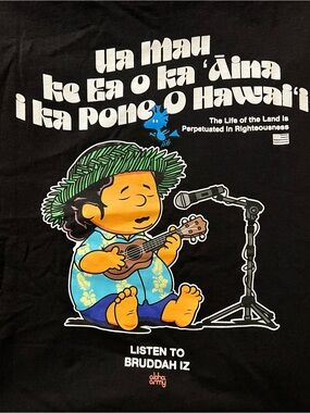 Aloha Army '78 Hawai'i Black Graphic Tee